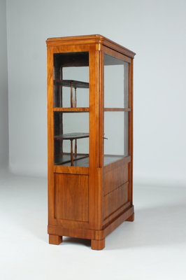 Biedermeier Showcase Cabinet, 1830s-ZLE-1425089