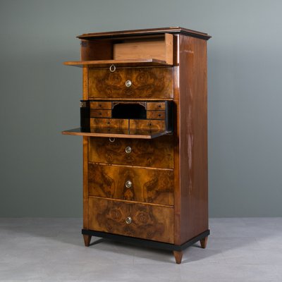 Biedermeier Walnut Chest of Drawers with Secretary-WZF-2036261