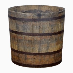 Big Oak Barrelled Planter, 1900s-IW-1760110