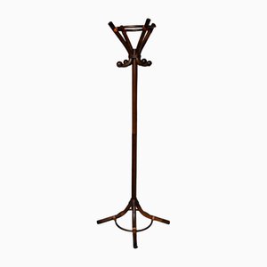 Bistro Parrot Coat Rack in Curved Wood and Leather-AIU-2028384