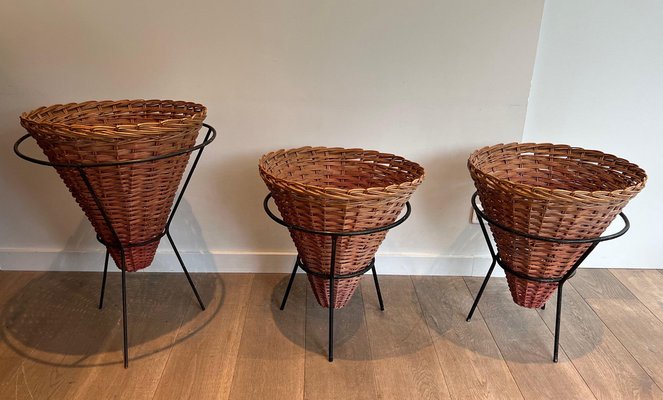 Black and Rattan Lacquered Metal Planters, 1950s, Set of 3-BA-1598978