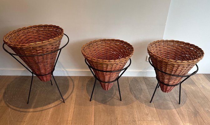 Black and Rattan Lacquered Metal Planters, 1950s, Set of 3-BA-1598978