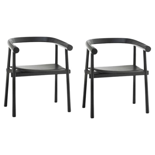 Black Bridge Altay Armchairs by Patricia Urquiola, Set of 2