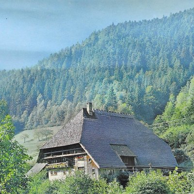 Black Forest House Landscape Scenery River Dam Wall Chart Poster-KJP-1155516