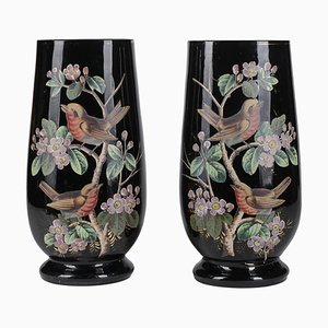 Black Opal Glass Jars with Hand-Painted Birds, France, 19th Century, Set of 2-RAQ-988201