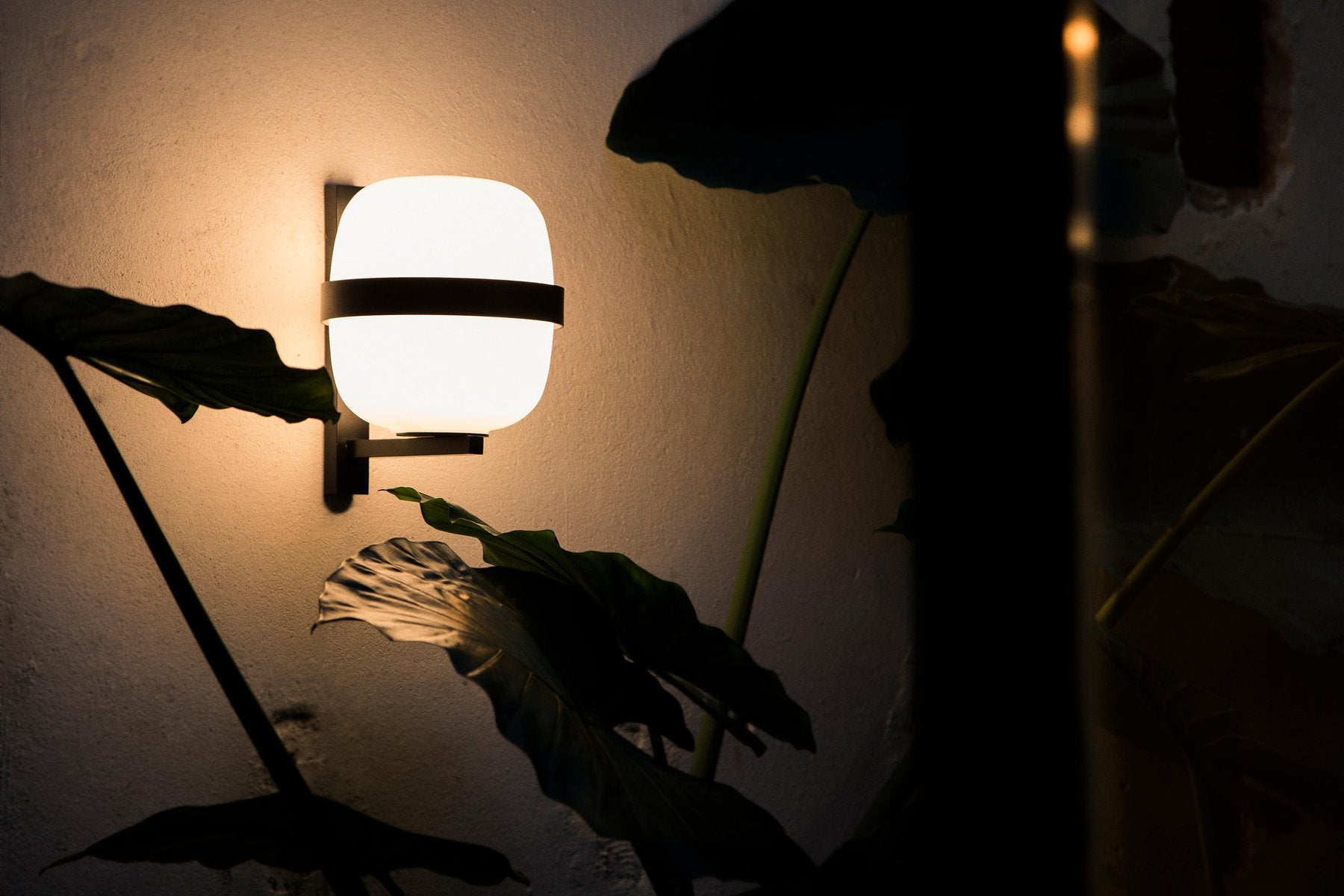 Black Wally Wall Lamp by Miguel Milá