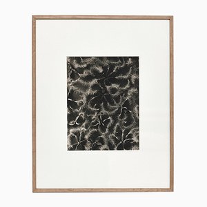 Black & White Flower Photogravure Botanic Photography by Karl Blossfeldt, 1942-WM-575568