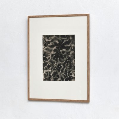 Black White Flower Photogravure Botanic Photography by Karl Blossfeldt, Set of 4-WM-1044813