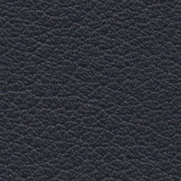 Black Diamond (CO2211)