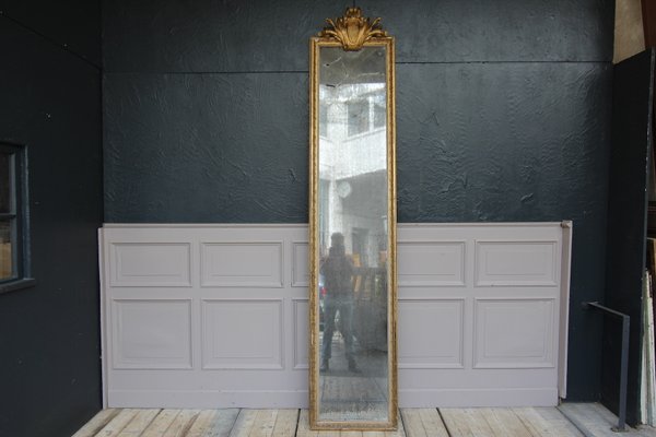 Blind French Mirror, 19th-Century-TAT-947929