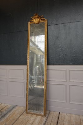 Blind French Mirror, 19th-Century-TAT-947929