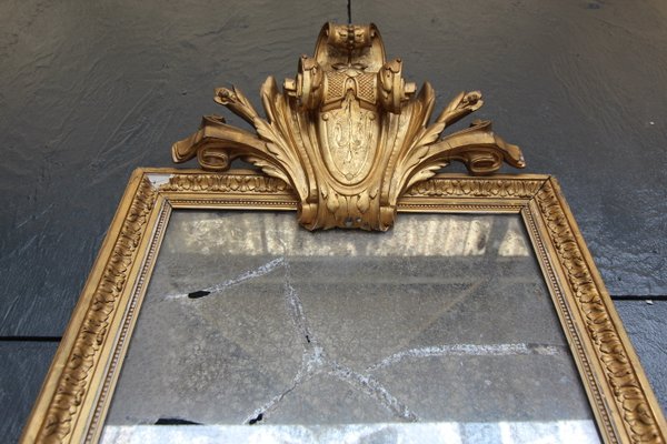 Blind French Mirror, 19th-Century-TAT-947929