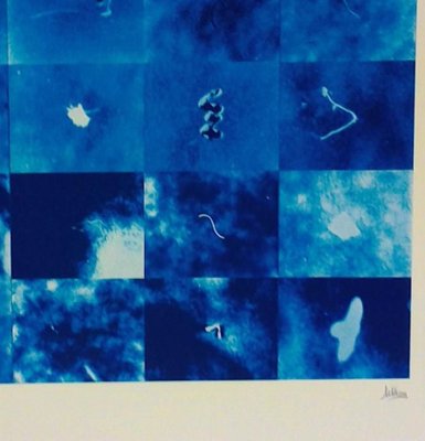 Blue - Original Silkscreen by Pino Settanni - 1970 ca. 1970-ZCI-760328