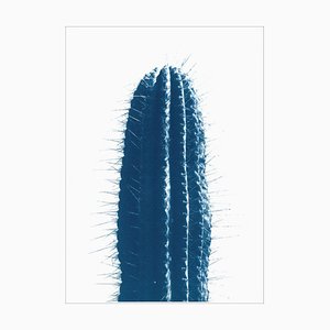 Blue Upright Desert Cactus, Extra Large Cyanotype Print in Cold Tones, 2021-RWC-899539