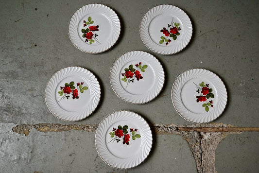 Bohemian Nathalie Plates from Keller and Guerin Lunéville, 1950s, Set of 6