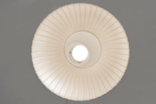 Bologna Pendant Light by Aloys Ferdinand Gangkofner for Peill & Putzler, Germany, 1954