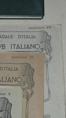 Bond Opera Cartographic, International Atlas of the Italian Touring Club with Dedication by Benito Mussolini, Italy 1927, Set of 9-ERB-964752