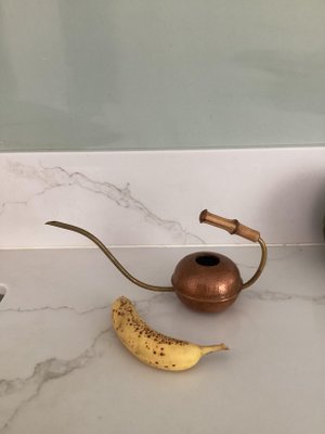 Bonsai Watering Can, 1960s-SU-1377311