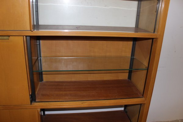 Bookcase with Secretaire by Georges Frydman for EFA, Circa 1960-BCR-900163