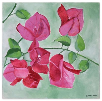 Bouganvillea - Original Oil on Canvas by Marzia Trinca - 2019 2019-ZCI-757187