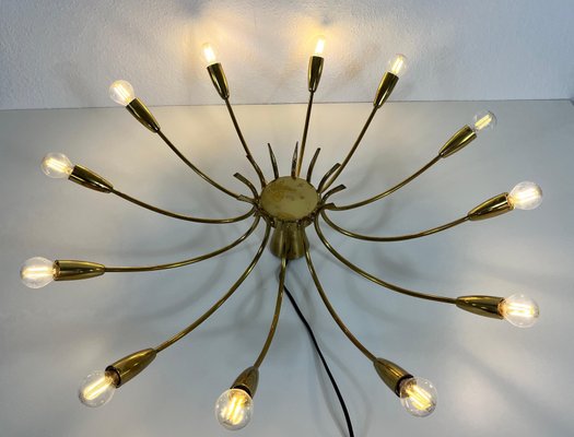 Brass 12-Arm Sputnik Chandelier Attributed to Arredoluce, 1950s-PUK-1317201