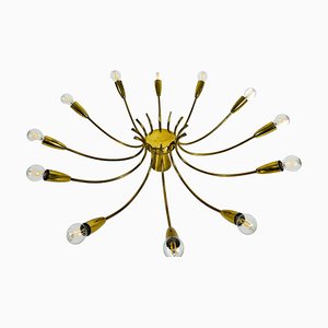 Brass 12-Arm Sputnik Chandelier Attributed to Arredoluce, 1950s-PUK-1317201