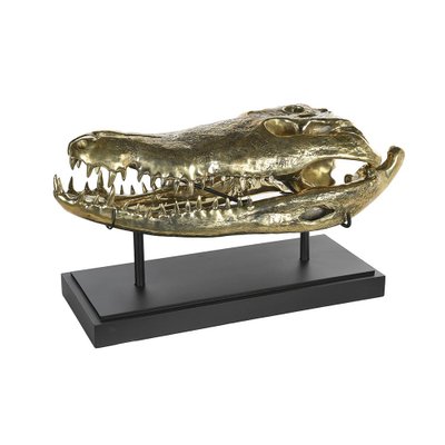 Brass Crocodile Skull-NQ-1339440