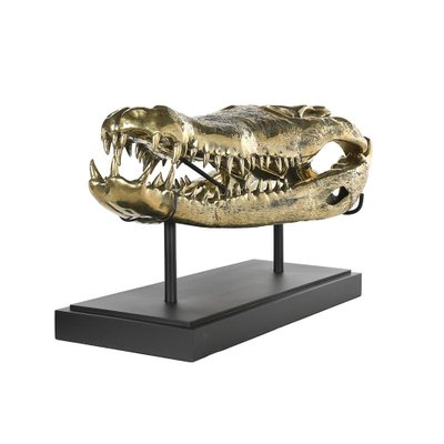 Brass Crocodile Skull-NQ-1339440