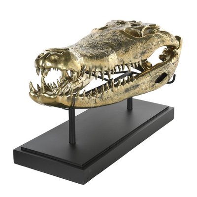 Brass Crocodile Skull-NQ-1339440