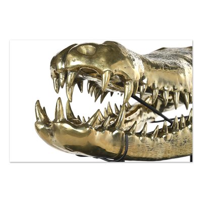 Brass Crocodile Skull-NQ-1339440