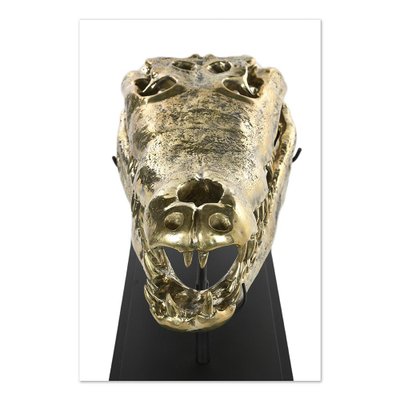 Brass Crocodile Skull-NQ-1339440