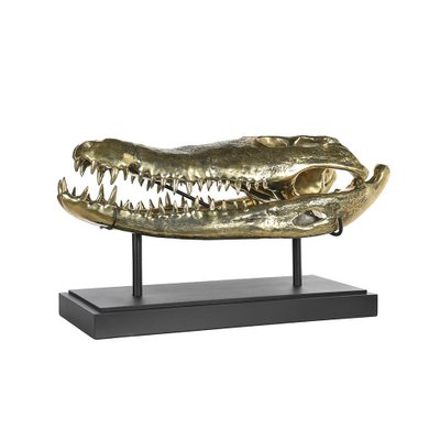 Brass Crocodile Skull-NQ-1339440