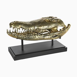 Brass Crocodile Skull-NQ-1339440