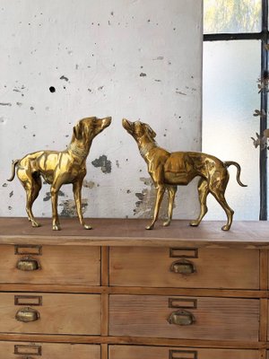 Brass Dog Statuettes, 1960s, Set of 2-LCU-689373