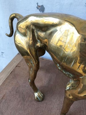 Brass Dog Statuettes, 1960s, Set of 2-LCU-689373