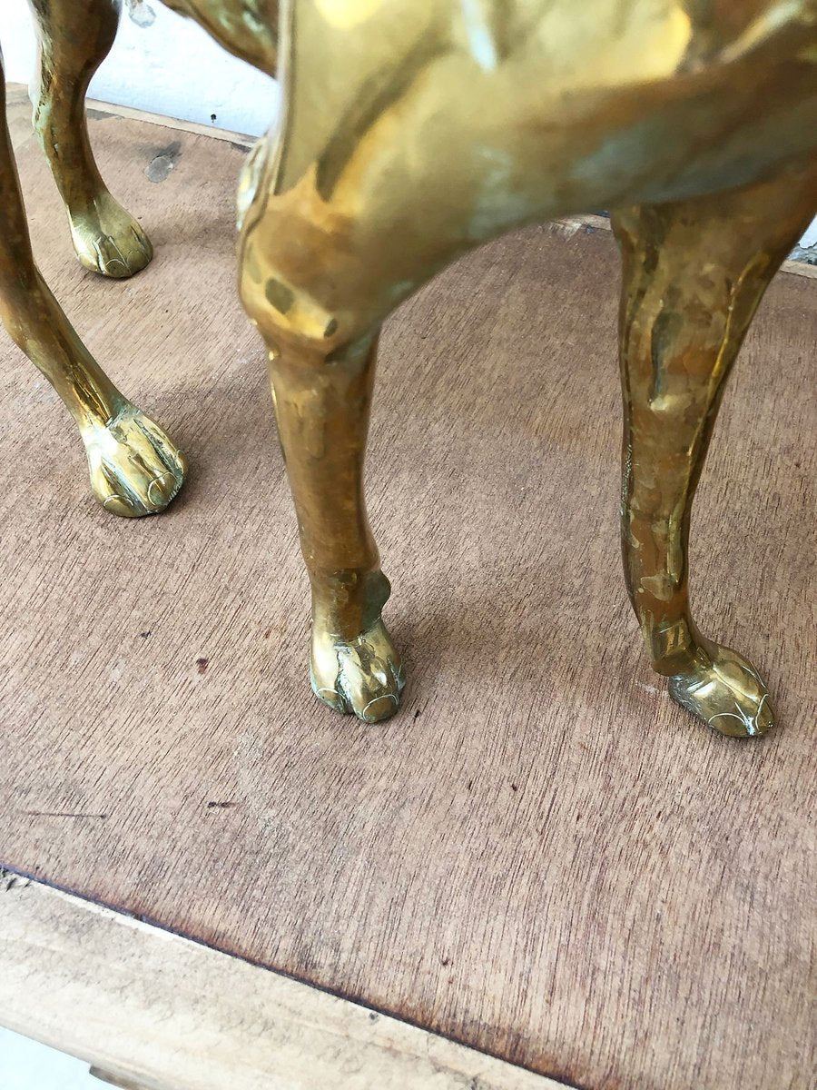 Brass Dog Statuettes, 1960s, Set of 2