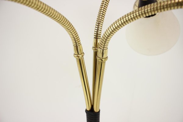 Brass Floor Lamp, Czechoslovakia, 1950s-TZ-1384757