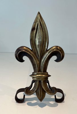 Bronze and Wrought Iron Lily Chenets, 1940s, Set of 2-BA-1784742