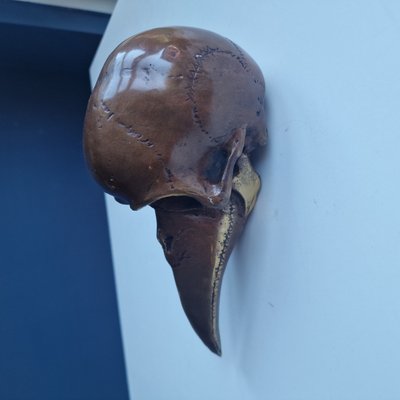 Bronze Bird-Beaked Skull Memento Mori Surrealism Sculpture, 1990s-BXK-2032213