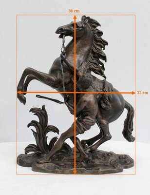 Bronze Cheval de Marly after G. Coustou, 19th Century-RVK-1029333