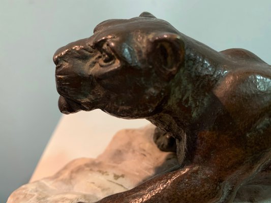 Bronze Lioness on Stone, 1930s-IKW-801003