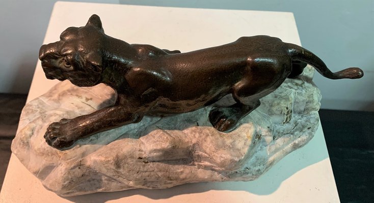 Bronze Lioness on Stone, 1930s-IKW-801003