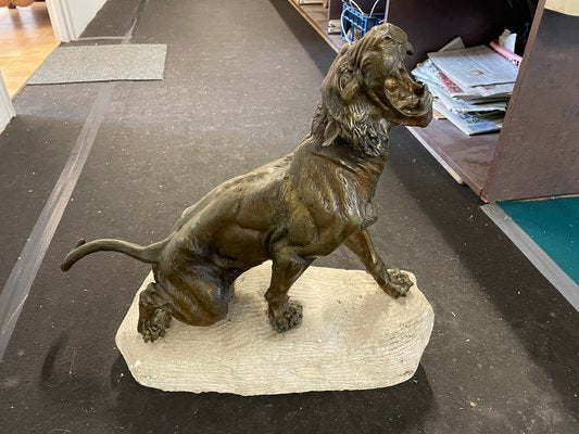 Bronze Lioness Sculpture by Thomas Cartier-BZK-960694