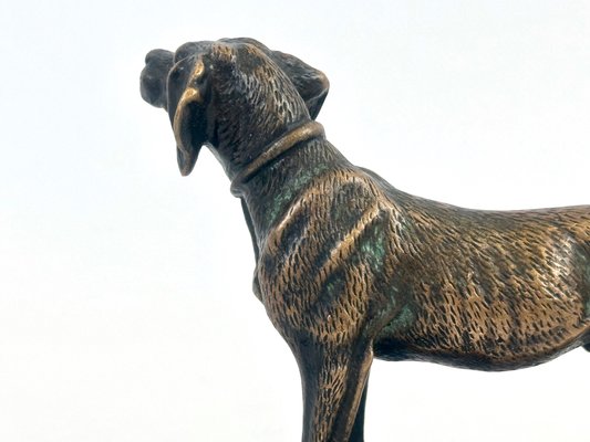 Bronze Pointer Dog Figurine, 20th Century-ZCY-2020328