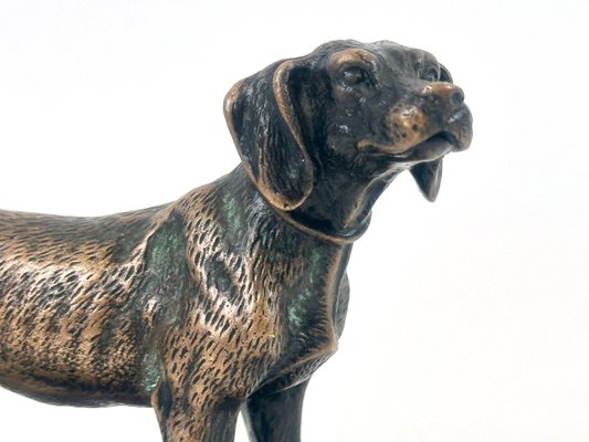 Bronze Pointer Dog Figurine, 20th Century-ZCY-2020328