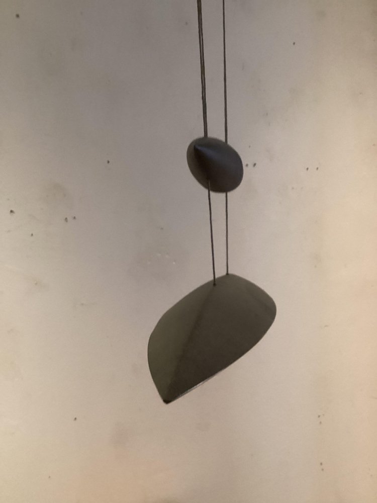 Bronze Tai Lang Pendant Lamp by Tobias Grau