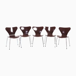 Brown Butterfly 3107 7 Series Chairs from Fritz Hansen, 1960s, Set of 5-NQU-1368556