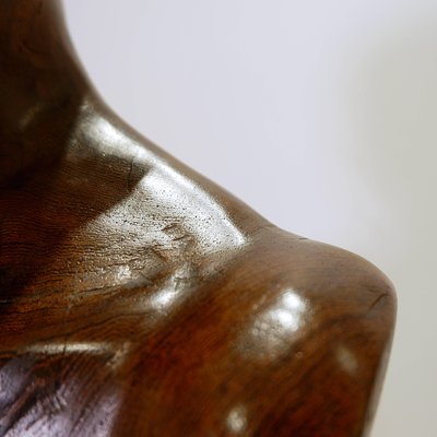 Brown Carved hardwood Bust-NYF-2018828