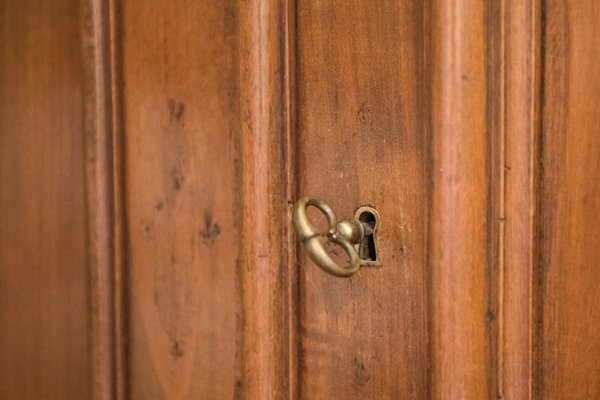 Brown Chestnut Wardrobe, 1890s-NZV-2008422