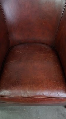 Brown Leather Club Chair-HPP-2032272